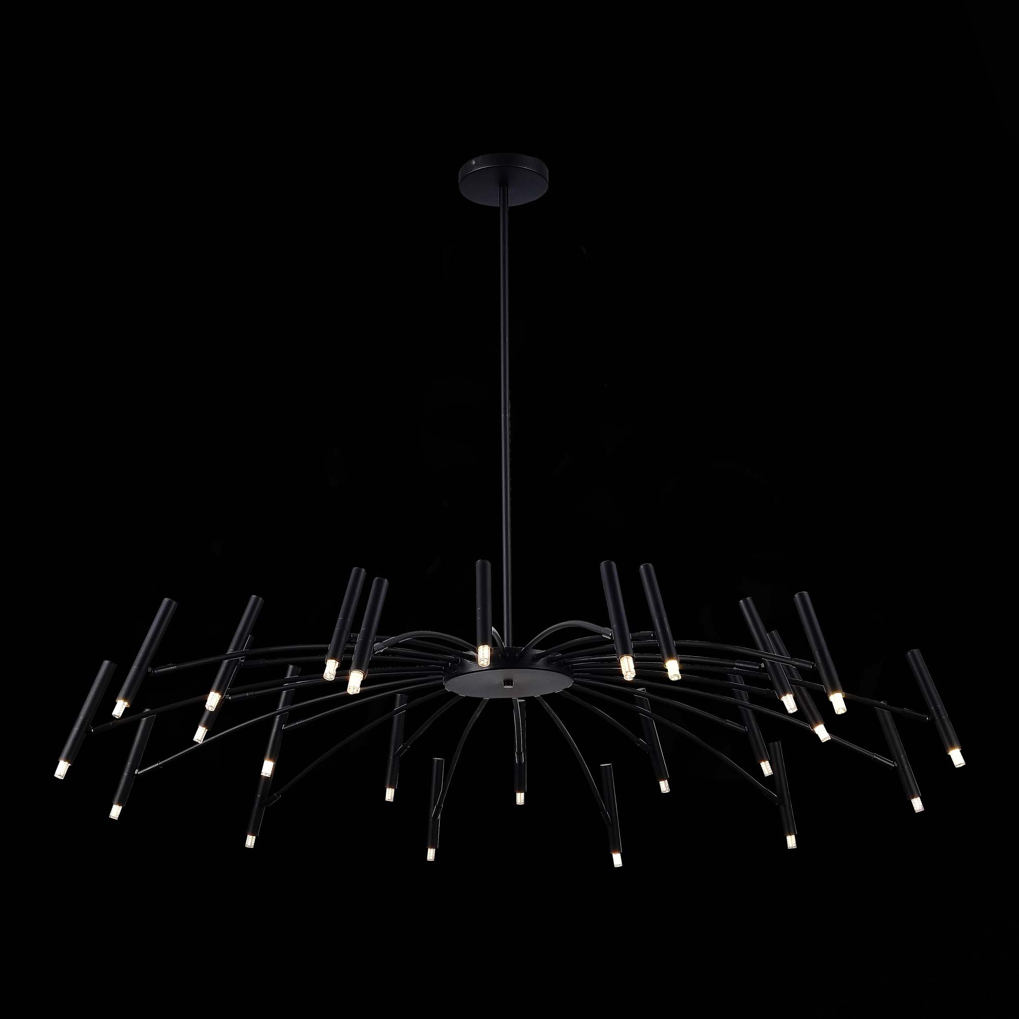 SL1214.402.24_01B.jpg