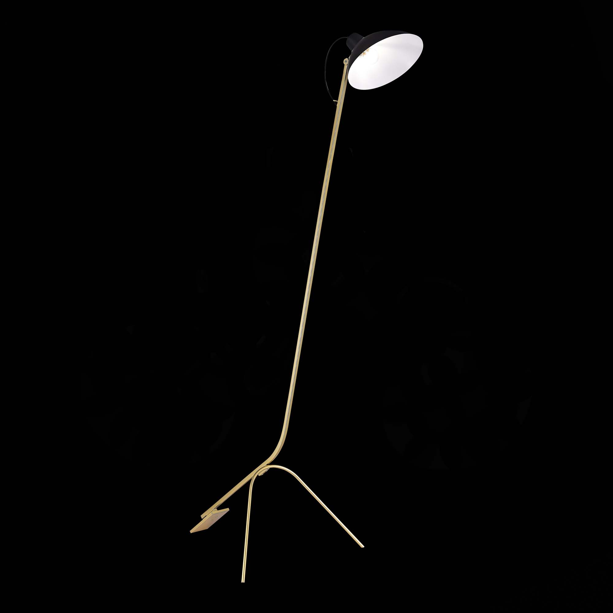 SL1803.205.01_01B.jpg