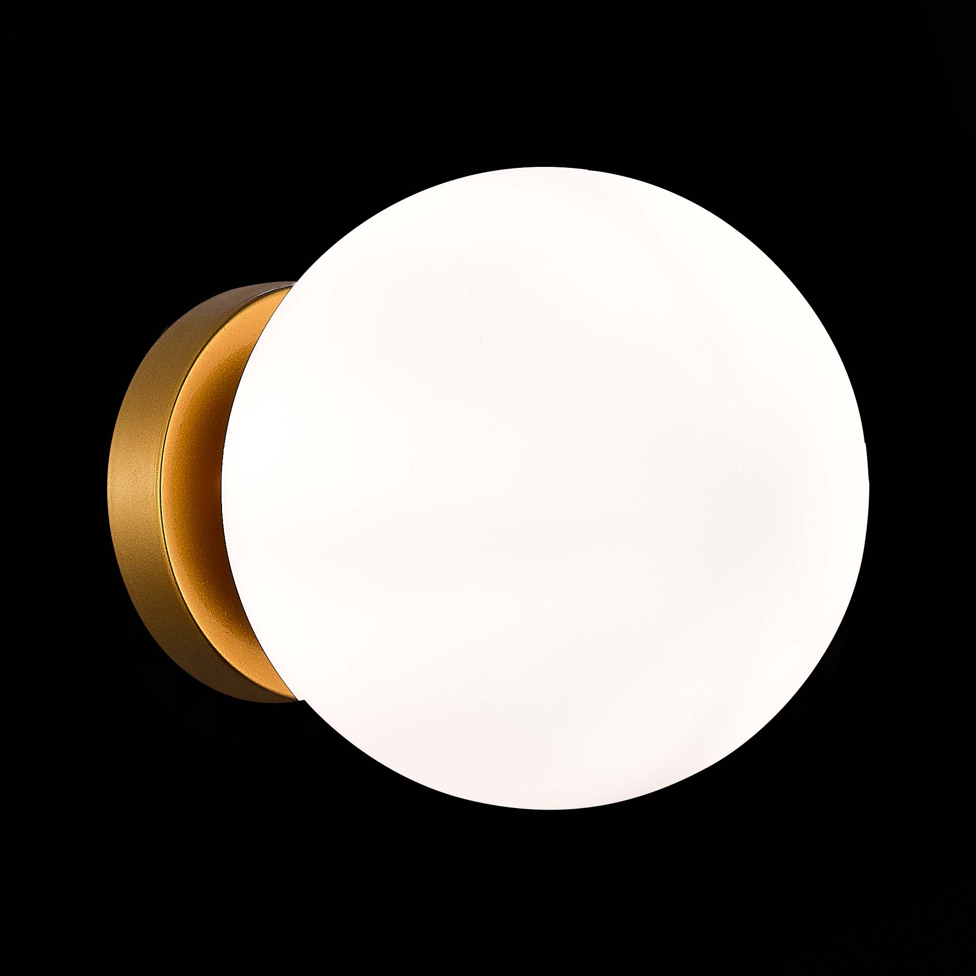 SL717.201.01_01B.jpg