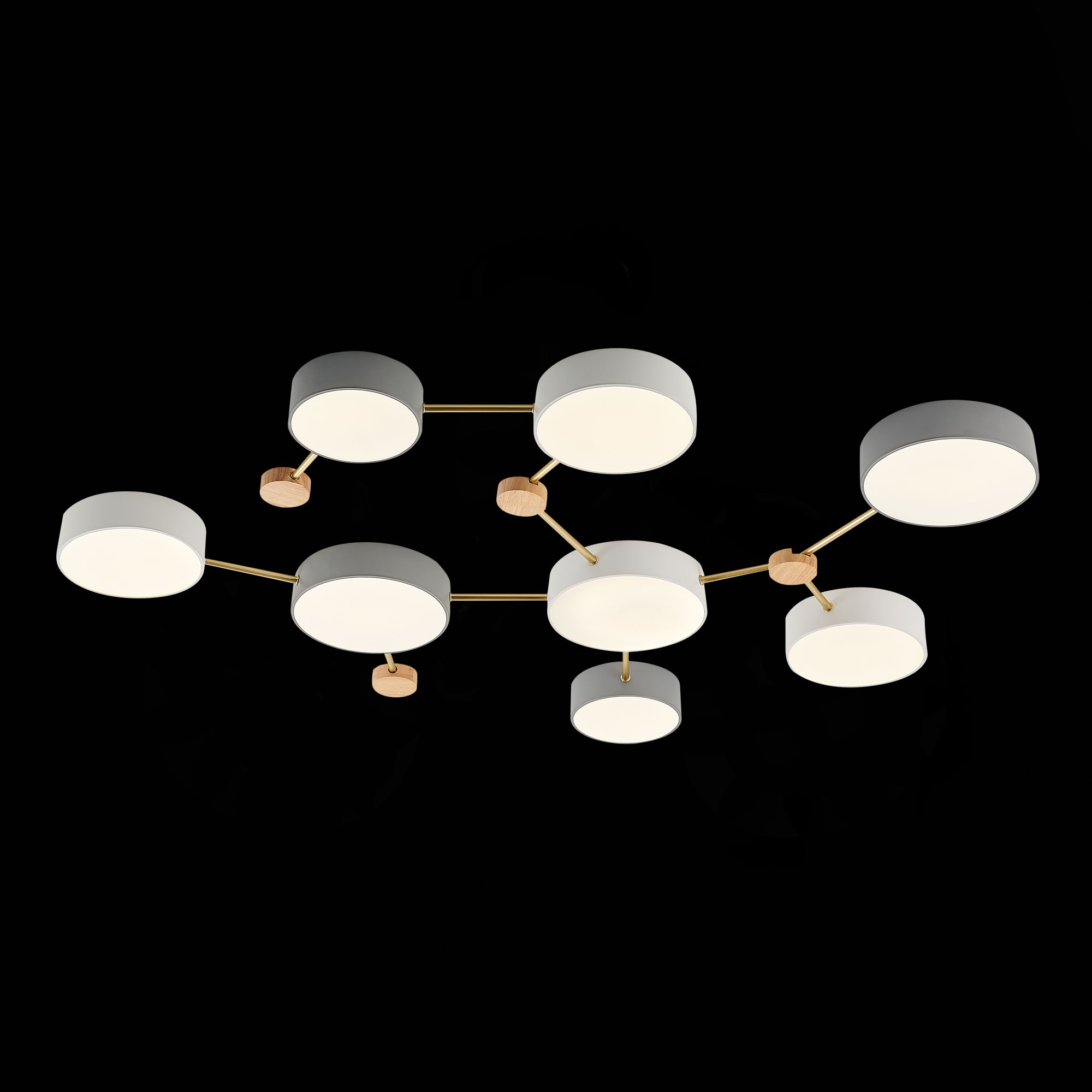 SLE600102-08_01B.jpg
